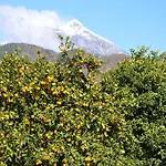 Akdeniz Bahcesi By Kimera Lounge Çıralı