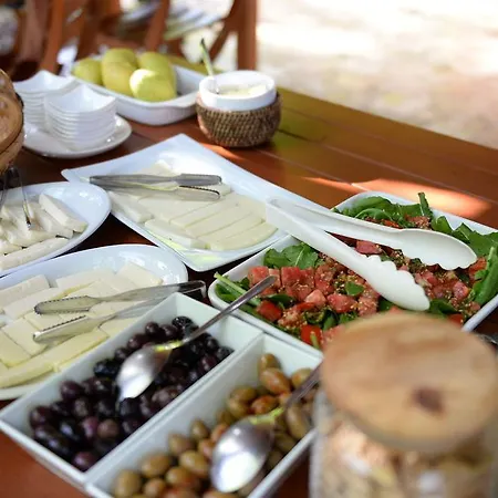 Casa vacanze Akdeniz Bahcesi By Kimera Lounge *