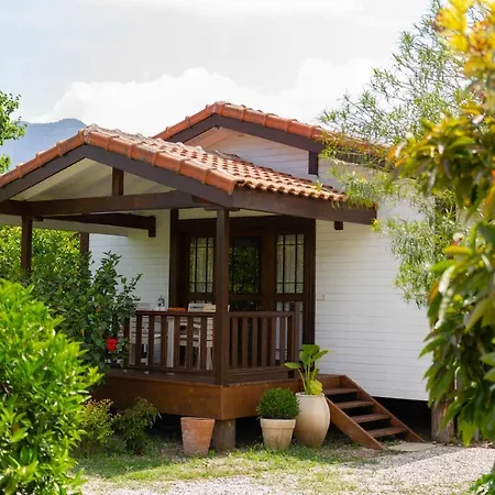 Holiday home Kimera - Akdeniz Bahcesi Cirali
