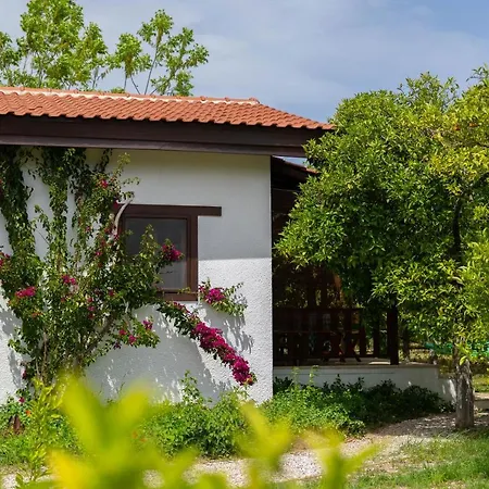 Holiday home Kimera - Akdeniz Bahcesi