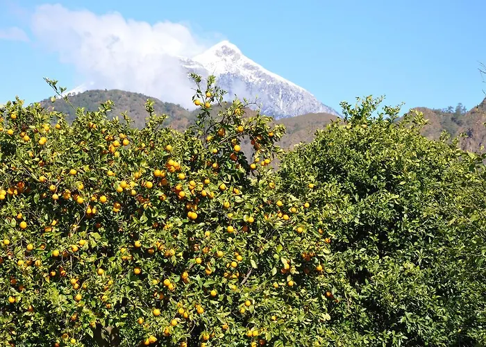 Akdeniz Bahcesi By Kimera Lounge Çıralı