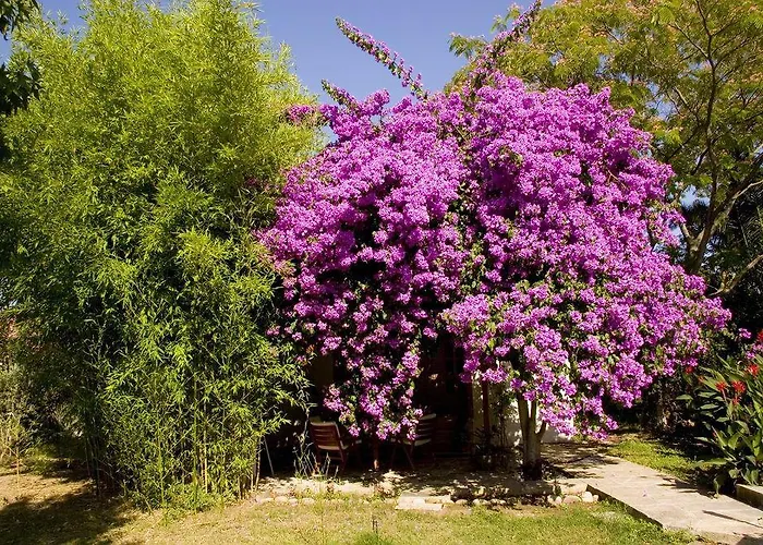 Dom wakacyjny Akdeniz Bahcesi By Kimera Lounge Çıralı