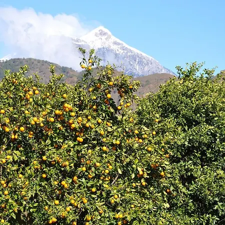Akdeniz Bahçesi By Kimera Lounge Çıralı